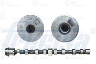 Распредвал FRECCIA CM052240