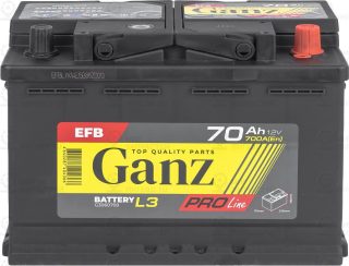 Запчасть GANZ G3060700