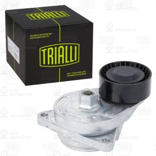 Натяжитель ремня ГРМ TRIALLI CM5886