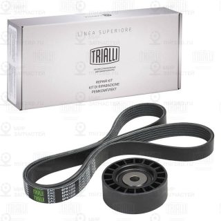 Комплект поликлинового ремня TRIALLI GD1204