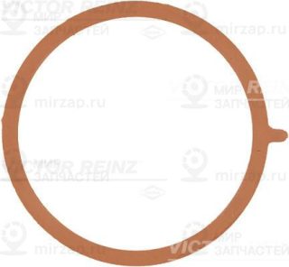 Прокладка впускного коллектора VICTOR REINZ 713895300
