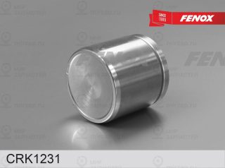 Ремкомплект тормозного суппорта FENOX CRK1231