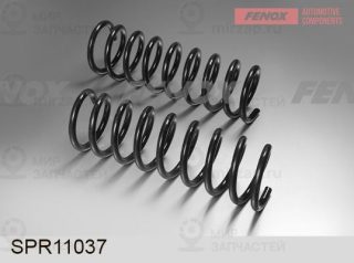 Пружина ходовой части FENOX SPR11037