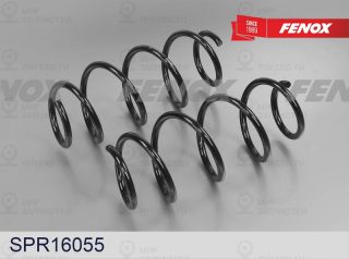 Пружина ходовой части FENOX SPR16055