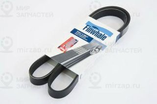 Ремень поликлиновой Finwhale BP625