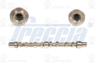 Распредвал FRECCIA CM052199