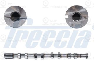 Распредвал FRECCIA CM052249