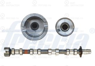 Запчасть FRECCIA CM052271