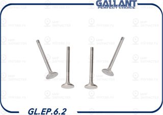 Запчасть GALLANT GLEP62