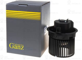 Запчасть GANZ GIC06011