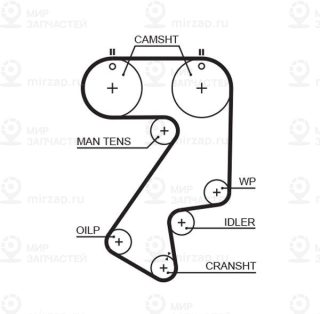 Ремень зубчатый GATES 5404XS