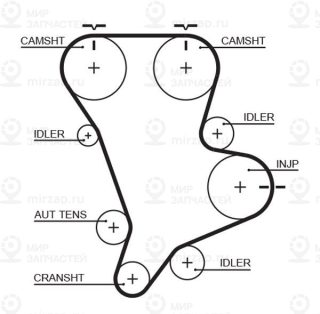 Запчасть GATES 5583XS