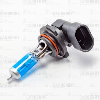 Запчасть CARBERRY 31CA2PL