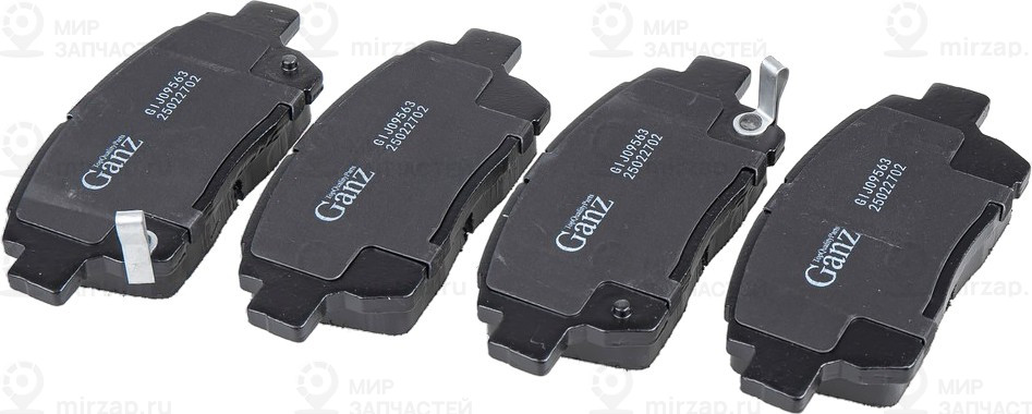 Запчасть GANZ GIJ09563