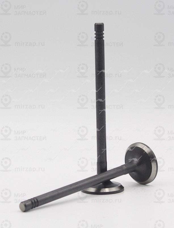 Запчасть AUTOWELT VE58001