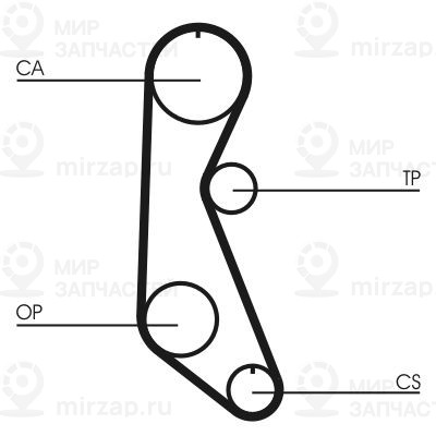 Ремень зубчатый Continental CT816