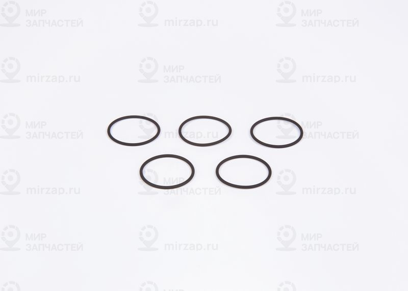 Резиновое кольцо BOSCH F00RJ00220