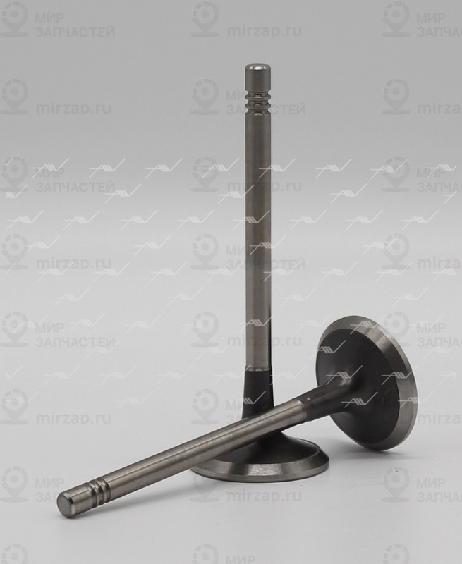 Запчасть AUTOWELT VE51019