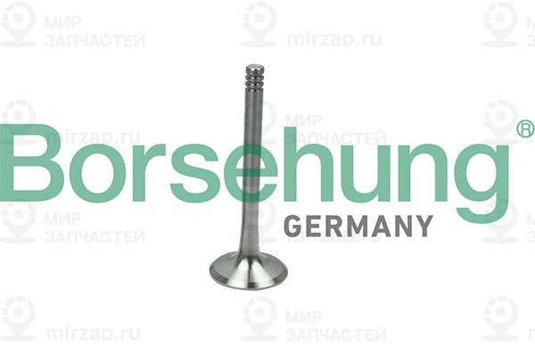 Запчасть Borsehung B19013