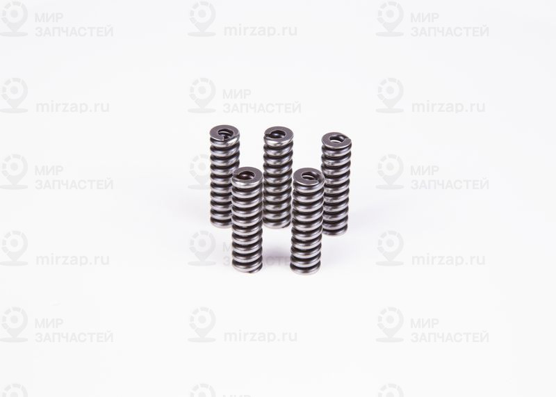 Рессора BOSCH 2434614055