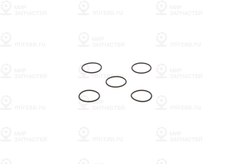 Резиновое кольцо BOSCH 2440210026