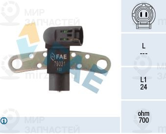 Запчасть FAE 79031