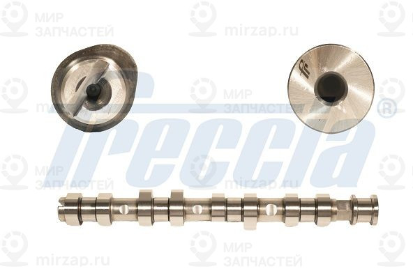 Запчасть FRECCIA CM052137