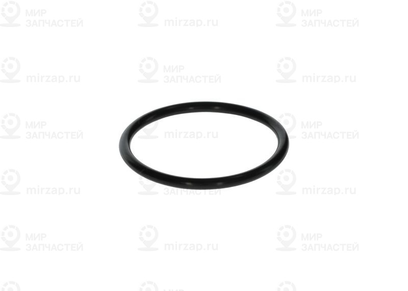 Резиновое кольцо BOSCH F00N200018