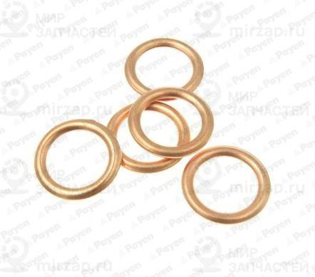 Запчасть PAYEN KG5343