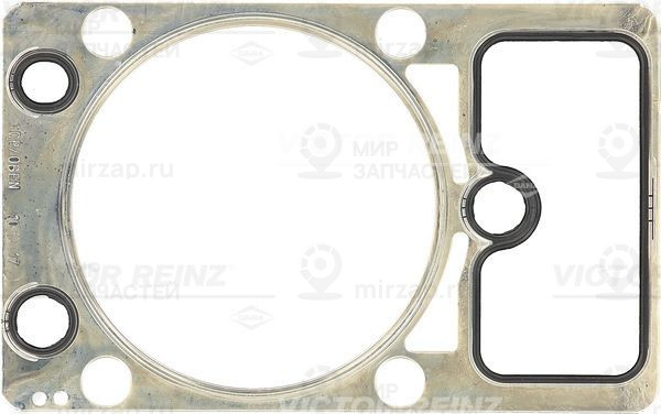 Запчасть VICTOR REINZ 613648510