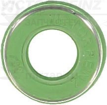 Запчасть VICTOR REINZ 704197900