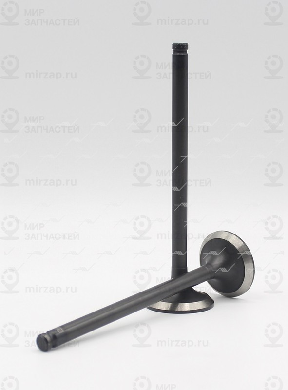 Запчасть AUTOWELT VE32023