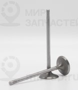 Запчасть AUTOWELT VI53006