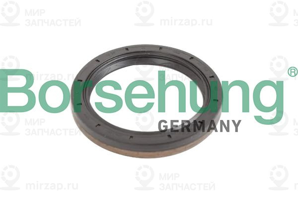 Запчасть Borsehung B12193