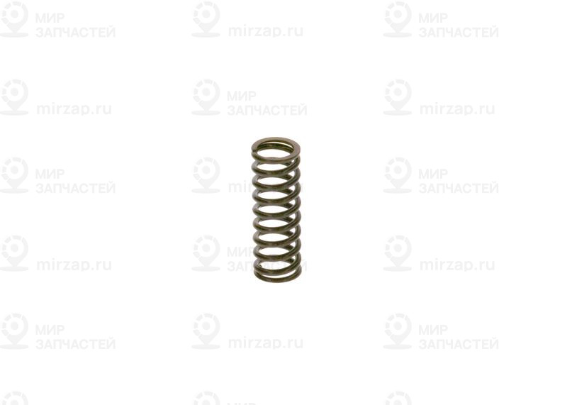 Рессора BOSCH 2444618007