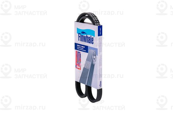 Ремень поликлиновой Finwhale BP4PK955