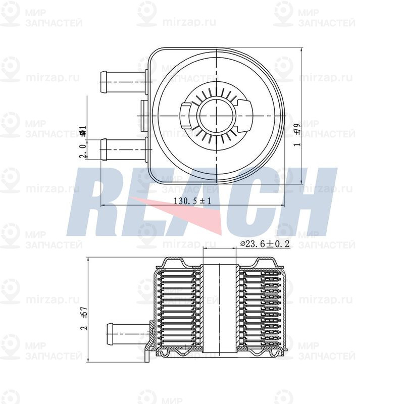 Радиатор масла двигателя REACH 12411043