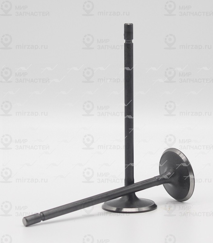 Запчасть AUTOWELT VI57000