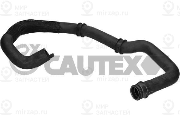 Запчасть CAUTEX 036443