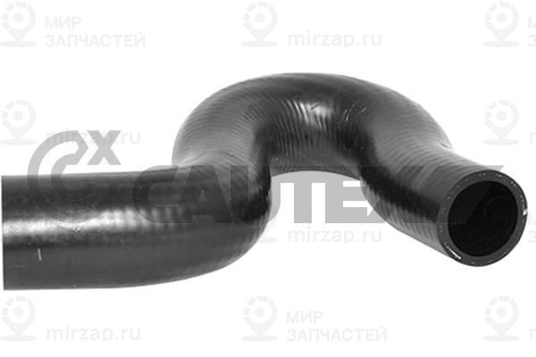 Запчасть CAUTEX 036493