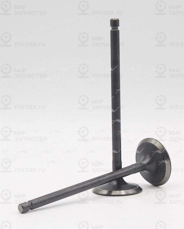 Запчасть AUTOWELT VI32010