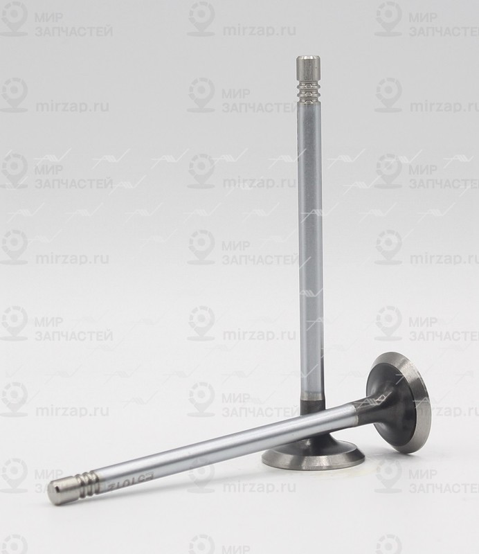 Запчасть AUTOWELT VE51012