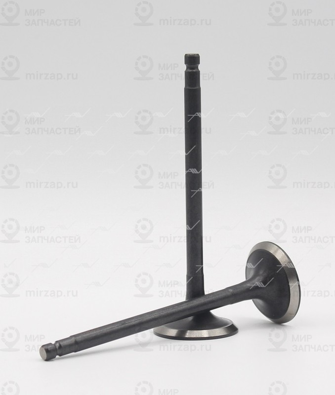 Запчасть AUTOWELT VE33015