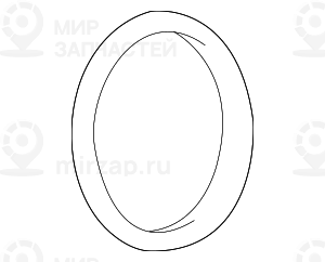Уплотнительное кольцо
 BMW 11511705408