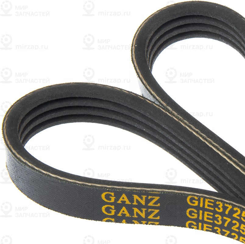 Запчасть GANZ GIE37259