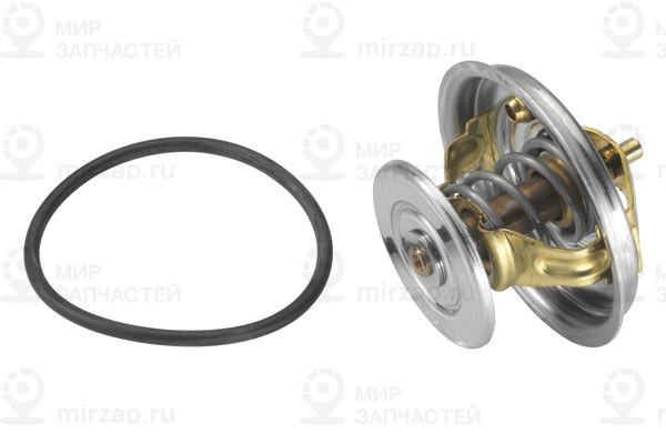 Термостат, охлаждающая жидкость BorgWarner 407879D