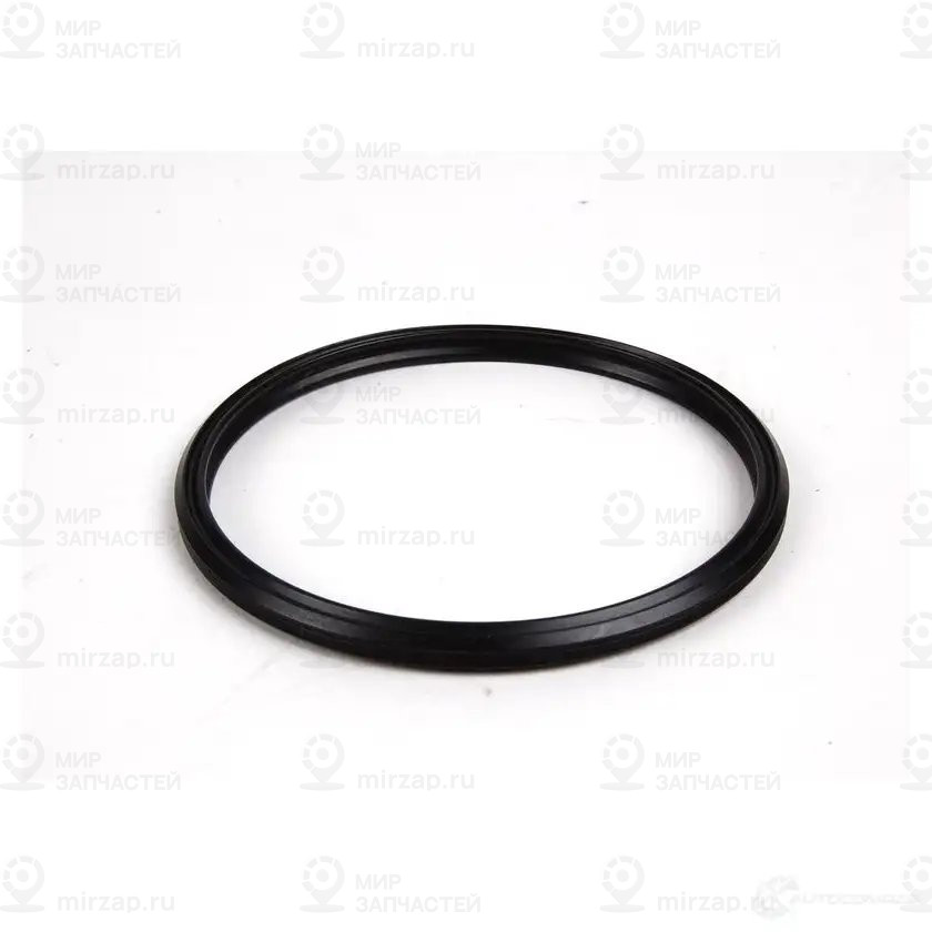 Профильное уплотнительное кольцо
 BMW 11617791469