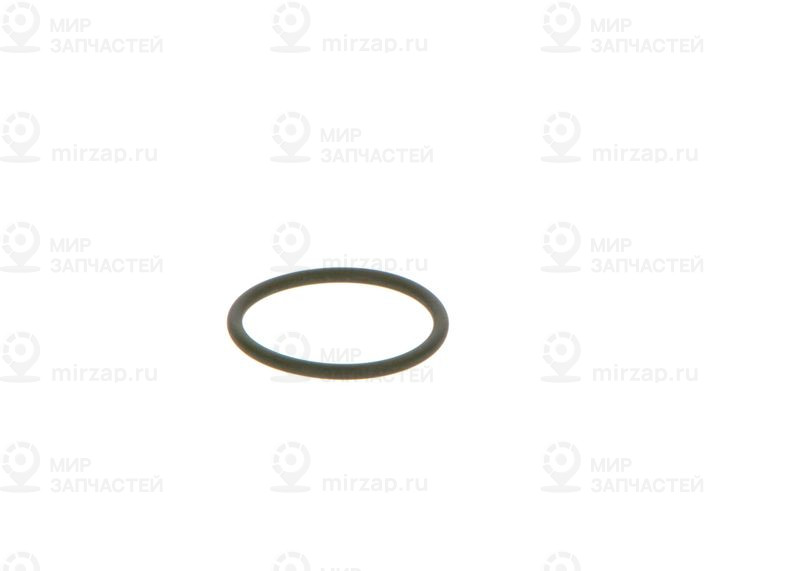 Резиновое кольцо BOSCH 2440210039