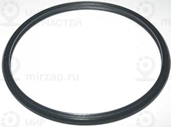 Профильное уплотнительное кольцо
 BMW 11617796621