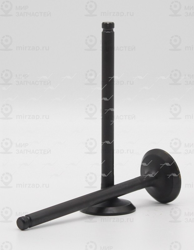 Запчасть AUTOWELT VE53010